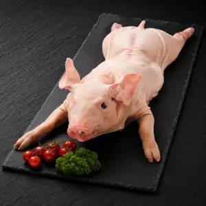 cochon de lait cru